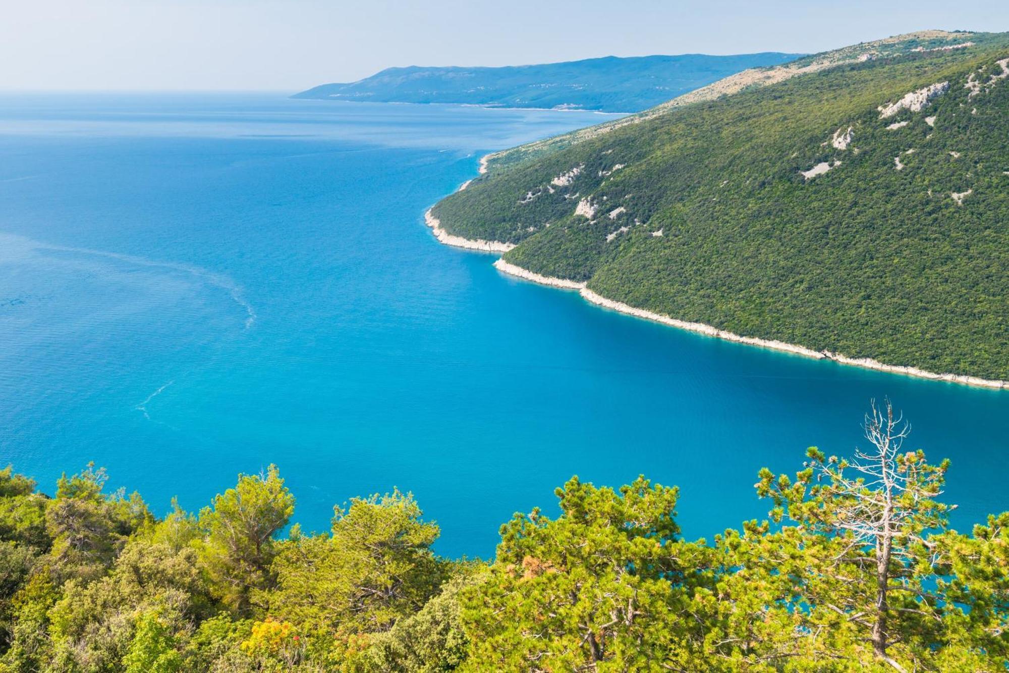 Seafront Villa Andrijana - Happy Rentals Plomin Dış mekan fotoğraf